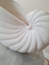 AquaShell – Decoratieve Zeeschelp 22x12cm